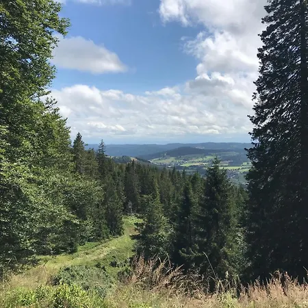 Schwarzwald - Ferienhaus Luisa Fuer 4-6 Personen 125m 3* Stuhlingen