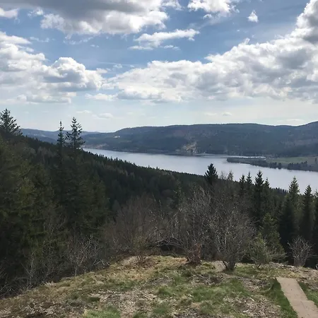 Schwarzwald - Ferienhaus Luisa Fuer 4-6 Personen 125m Hotel