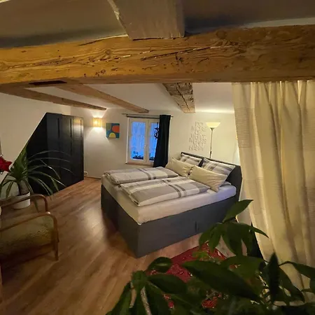 Schwarzwald - Luisa Fuer 4-6 Personen 125m بيت للعطل